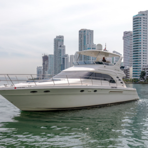 baru yacht charters cork trick searay 56 ft flybridge seating 1