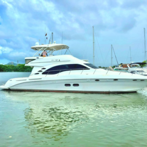 baru yacht charters mamas searay 56 ft exterior 19