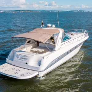 baru yacht charters palladium searay 46 ft exterior 4