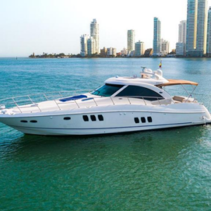 baru yacht charters suerte searay sundancer 62 ft profile water 1