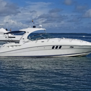 baru yacht charters symphony searay 43 ft exterior 1