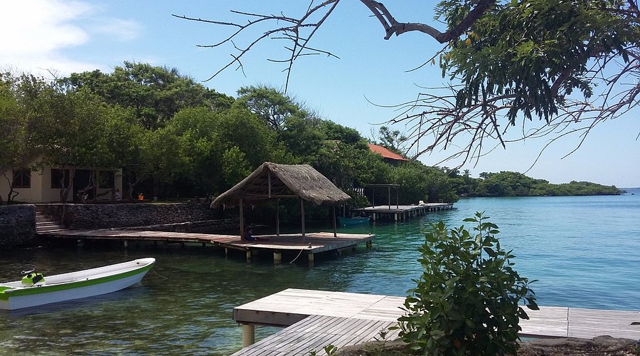 punta nativa image 1